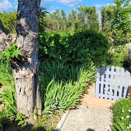 Maison Charmante A Avec Jardin Сasa de vacaciones Saint-Michel-lʼObservatoire